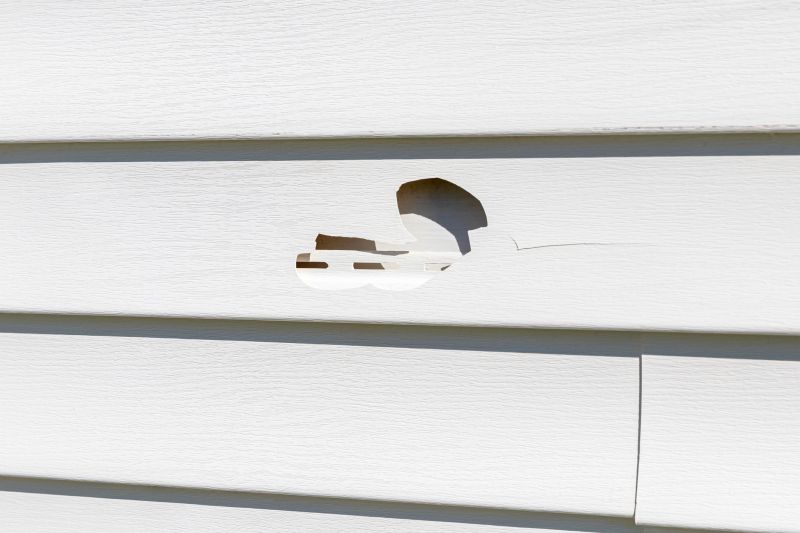 Vinyl Siding Repair - Expert Technician