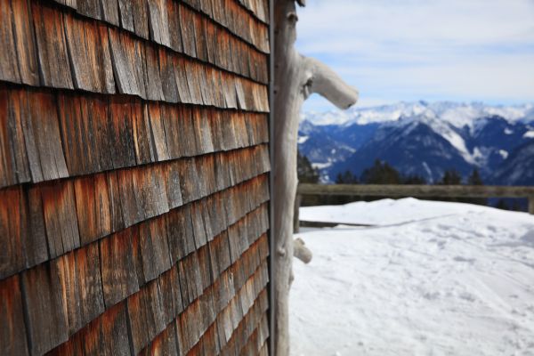 Cedar Siding Repair in Escondido