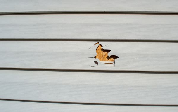 Siding Hole Patching in Escondido