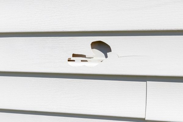 Cost of White Vinyl Siding Repair in Escondido